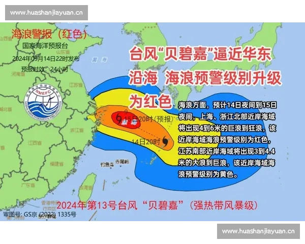 台风贝碧嘉强势来袭对沿海地区造成重大影响与防御措施分析